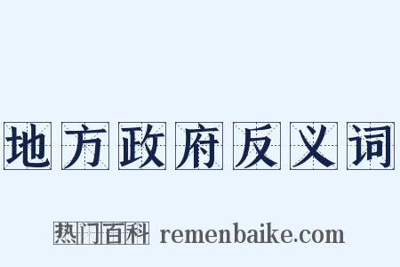 地方政府反义词是什么意思的图片